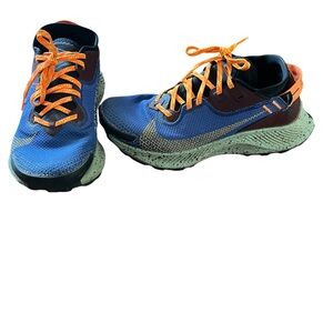 Nike Pegasus Gortex Trail Sneaker